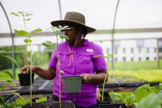 Female farmer holding pots with seedlings in greenhouse