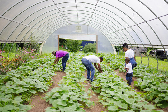Family inspecting plants in greenhouse