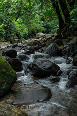 Rocky river in the jungle forest, nature landscape