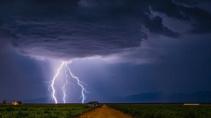 Lightning Over a Farmfield