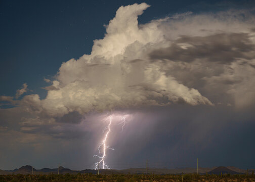 Lightning from an Isolated Storm Cell