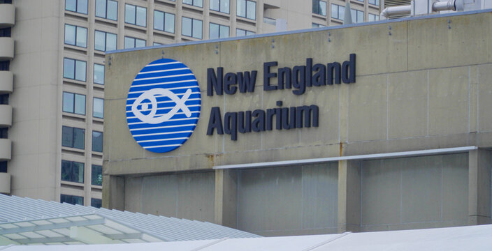 New England Aquarium In Boston - BOSTON , MASSACHUSETTS