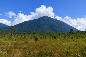 Fototapeta premium 戦場ヶ原から見た男体山