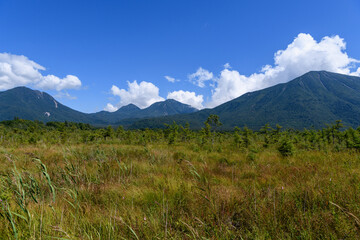 戦場ヶ原から見た男体山と太郎山、大真名子山、小真名子山
