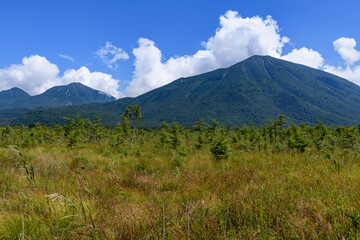 Fototapeta premium 戦場ヶ原から見た男体山