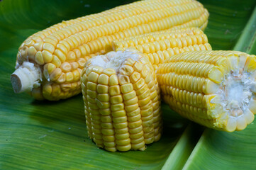Fresh corn on banana leaf, closeup