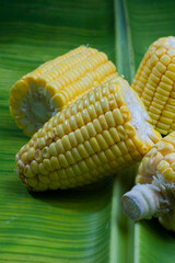 Fresh corn on banana leaf, closeup