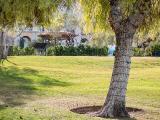 Sunny view of the Lake Las Vegas