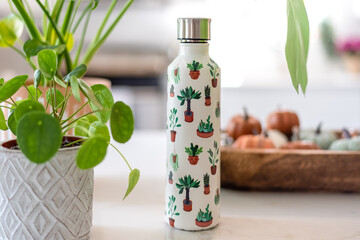 Water bottle for plant lovers on a kitchen counter with potted plants - 453224461
