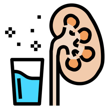 recommend clip art: kidney line icon