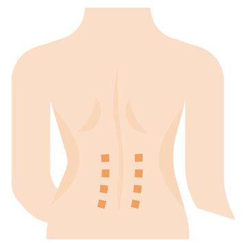 Lower Back Pain Flat Icon