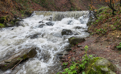 Shypot waterfall, cascade in Pylypets in the autumn, spring forest. Carpathians, Transcarpathian region, Ukraine.