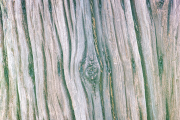 Closeup of Wooden Post