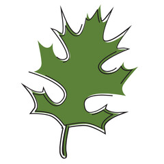Maple leaf icon