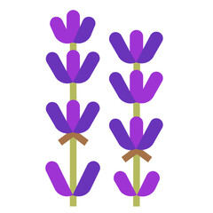 lavender flat icon