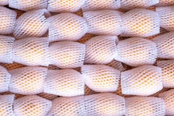 Loquat wrapped in foam bags