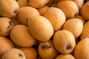 In the harvest season, many loquat fruits are arranged orderly