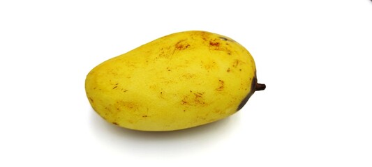 rotten mango isolated on white background