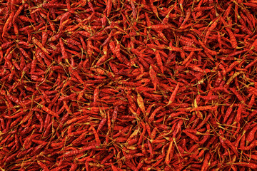 Fototapeta premium Dried red hot chilli texture background