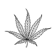 Marijuana leaf. Linear icon. Isolated on white. Vector illustration