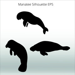 set of manatee silhouettes, line isolated or logo isolated sign symbol vector, outline and stroke style Collection of high-quality vector illustration,