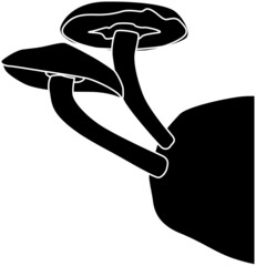 木から生えるキノコのシルエット