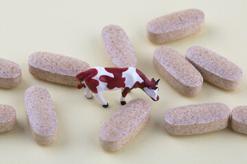 Cow model and a few calcium tablets