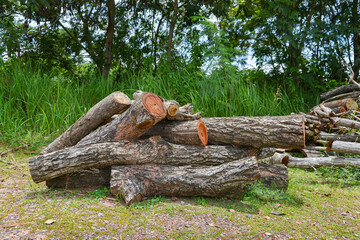 A pile of stacked firewood, prepared for heating the house, Firewood harvested for heating in winter, Chopped firewood on a stack, Firewood stacked and prepared for winter Pile of wood logs.