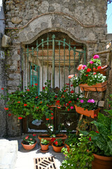 Obraz na płótnie Canvas Decoration of plants and flowers in front of an old gate in an alley of Castelluccio Superiore, a small town in the mountains of the province of Potenza.
