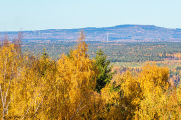 View of forest landscape in the autumn with a hill