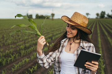 woman examining corn plant outdoors in field
