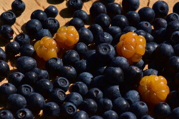Berry background blueberries and cloudberries harvest forest
