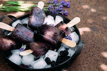 Fruit ice with blackberries and lavender in a plate. Ice cream