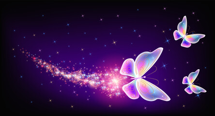 Obraz na płótnie Canvas Flying delightful butterflies with sparkle and blazing trail flying in night sky among shiny glowing stars in cosmic space. Animal protection day concept.