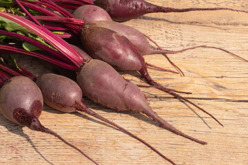 fresh organic beets on rustic old background.