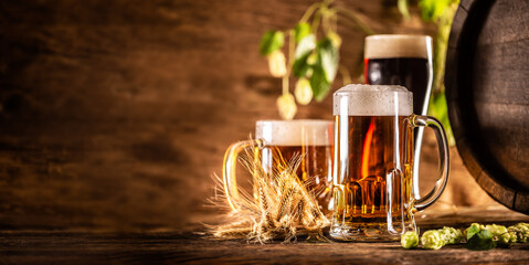Three glasses with draft beer in front of a wooden barrel. Decoration of barley ears and fresh hops