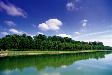 Obraz premium lake and forest