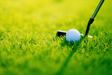 golf ball on tee