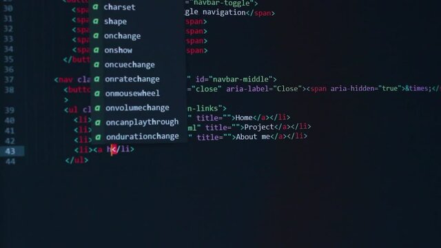 developer software source code on monitor screen. writing script of software developer. program coding. programmer editing code background. Technology background close up shot.