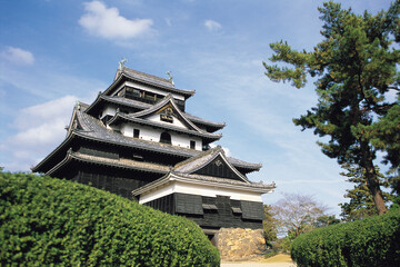 chinese temple in the park