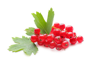 Fresh red currants and leaves on white background