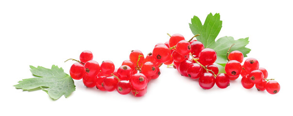 Fresh red currants and leaves on white background