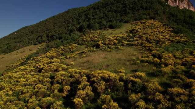 Lush Vegetation Of The Hill Near Viaduc de Millau In Aveyron, France - aerial drone shot