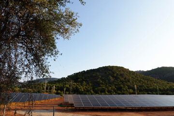 Photovoltaics in nature. The energy of the future.