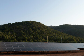 Photovoltaics in nature. The energy of the future.