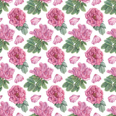 Hand-drawn seamless pattern with pink flowers, petals and leaves. Isolated plant elements on a white background. Botanical texture for decoration, packaging, fabrics, designs, etc.