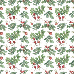 Hand-drawn seamless pattern with rose hips and leaves. Isolated plant elements on a white background. Botanical texture for decoration, packaging, fabrics, designs, etc.