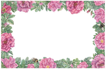 Rectangular frame with rose flowers, leaves and bumblebees. Hand-drawn graphic botanical border. Plant illustrations for design, cards, invitations.