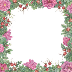 Square frame with flowers, leaves and rose hips. Hand-drawn graphic botanical border. Plant illustrations for design, cards, invitations.