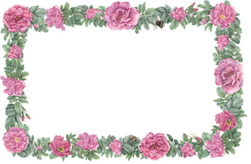 Rectangular frame with rose flowers, leaves and bumblebees. Hand-drawn graphic botanical border. Plant illustrations with rosehips for design, cards, invitations.